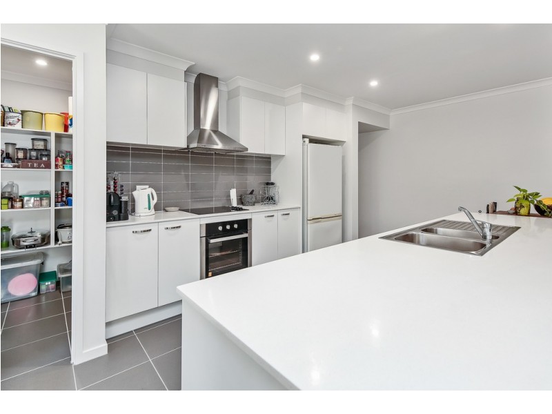 1A Firetail Ave, Regency Downs QLD 4341