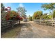 4 Wagtail Dr, Regency Downs QLD 4341