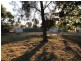 48 Poplar Street, Walloon QLD 4306