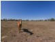 55 Fairmeadow Road, Rifle Range QLD 4311