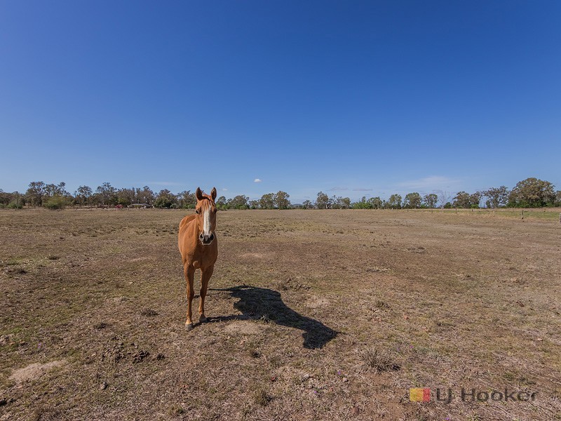 55 Fairmeadow Road, Rifle Range QLD 4311
