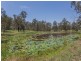 53 Durlik Road, Pine Mountain QLD 4306