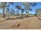 94 Equestrian Drive, Yamanto QLD 4305