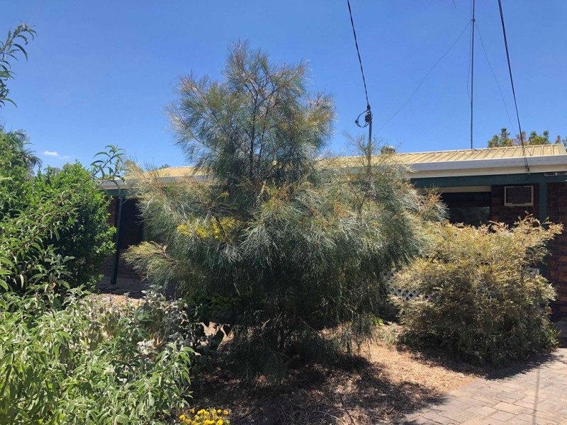 4 Carlson Court, Brassall QLD 4305