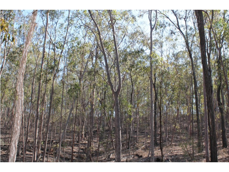 194-228 Grandchester Mt Mort Road, Grandchester QLD 4340