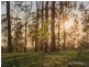 Proposed Lot20 Clarendon Rd, Rifle Range QLD 4311