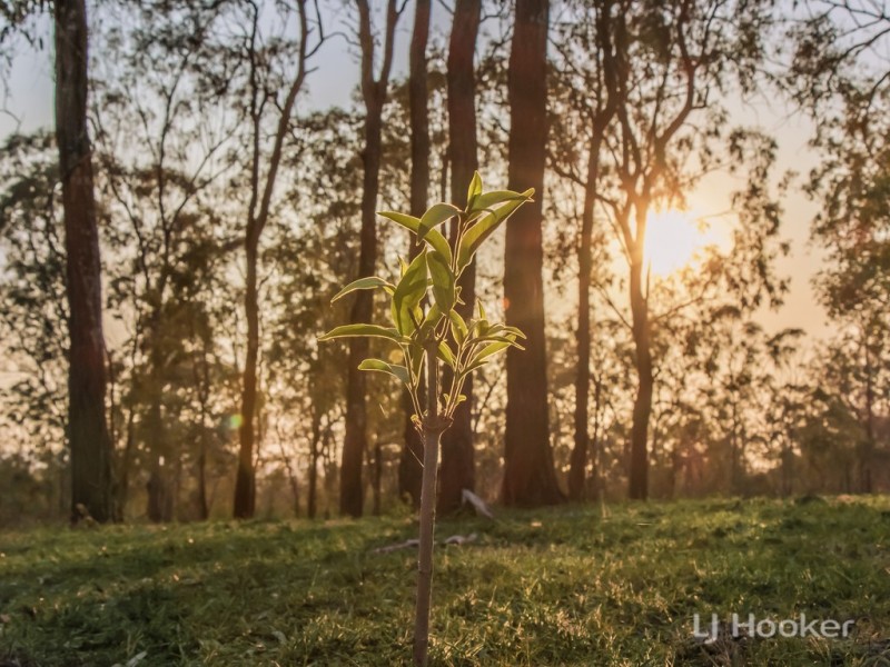 Proposed Lot20 Clarendon Rd, Rifle Range QLD 4311