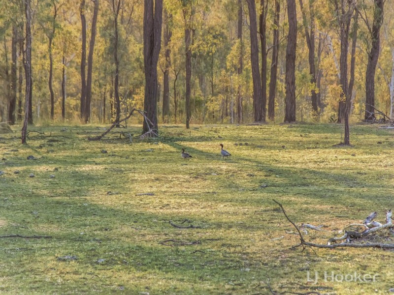 Proposed Lot14 Clarendon Rd, Rifle Range QLD 4311