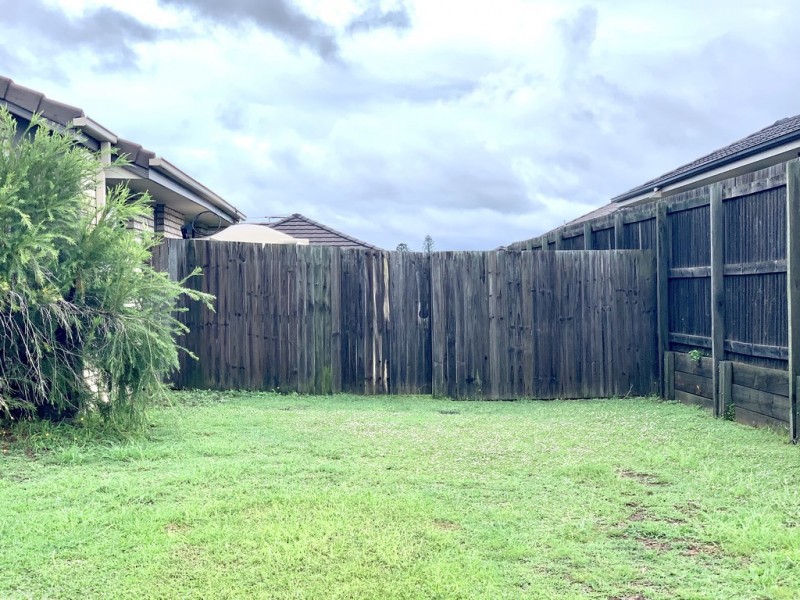 14 Windermere Street, Raceview QLD 4305