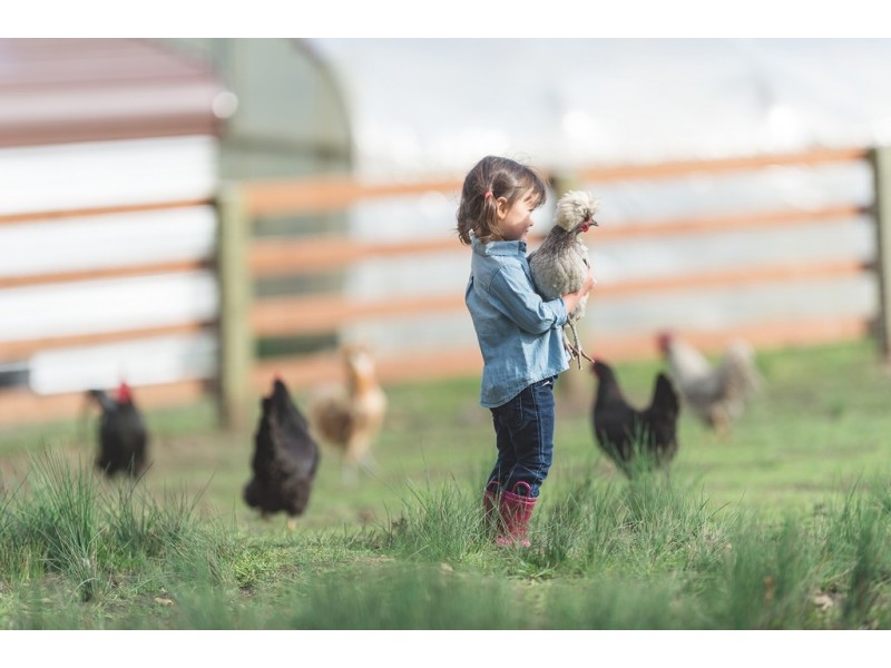 Proposed Lot14 Clarendon Road, Rifle Range QLD 4311