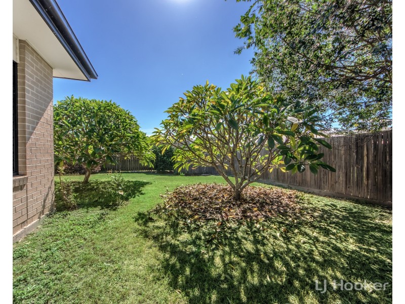 3 Benjamina Drive, Redbank Plains QLD 4301