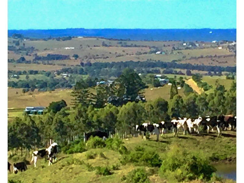 314 Tallegalla Two Tree Hill Rd, Tallegalla QLD 4340