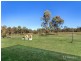 146 GRANTS RD, Lower Mount Walker QLD 4340