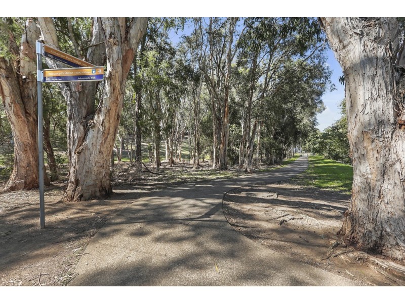 3/239 Lambert Rd, Indooroopilly QLD 4068