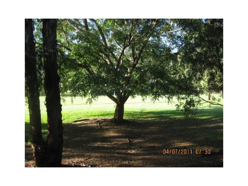 117 Banks Creek Road, Fernvale QLD 4306