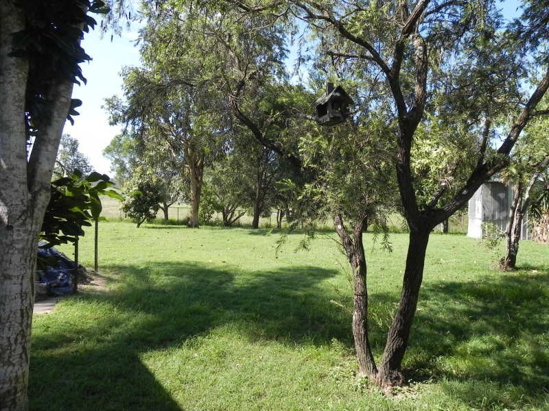 1366 Pine Mountain Road, Pine Mountain QLD 4306