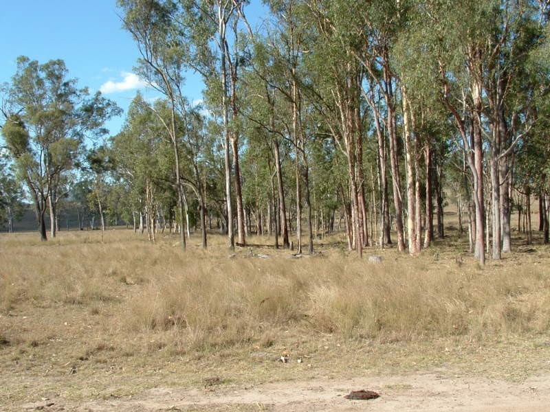 3141 Wivenhoe Somerset Road, Crossdale QLD 4312