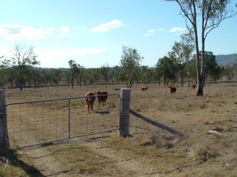 3141 Wivenhoe Somerset Road, Crossdale QLD 4312