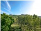 306 England Creek Road, England Creek QLD 4306