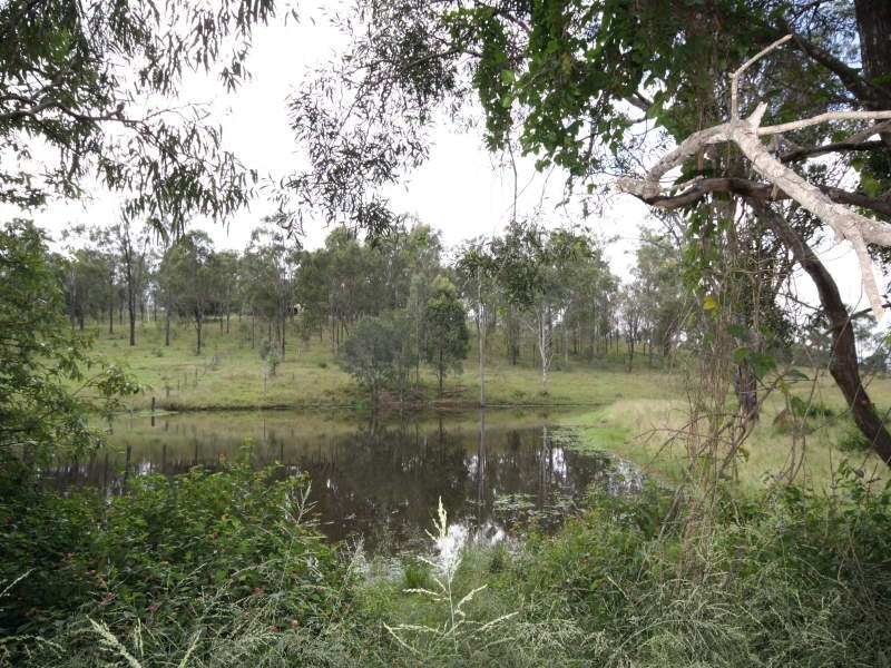 39 Harris Road, Fernvale QLD 4306