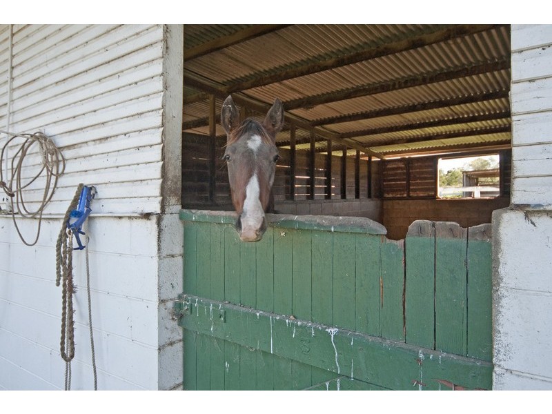 650 Rosewood-Marburg Rd, Marburg QLD 4346