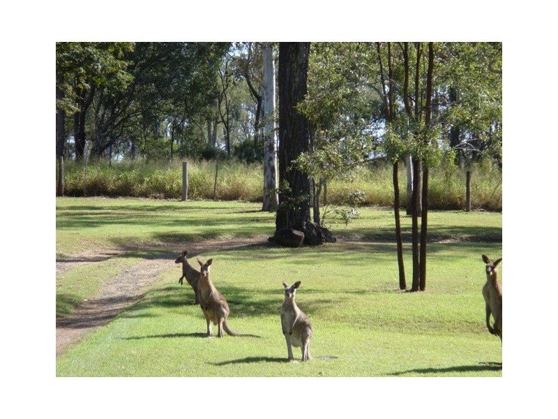 53 Randalls Road, Fairney View QLD 4306