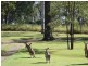 53 Randalls Road, Fairney View QLD 4306