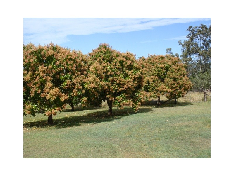 53 Randalls Road, Fairney View QLD 4306