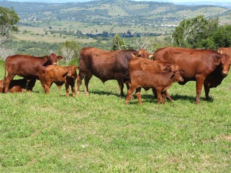 Lot 18 Larkhill Boundary Rd, Coolana QLD 4311