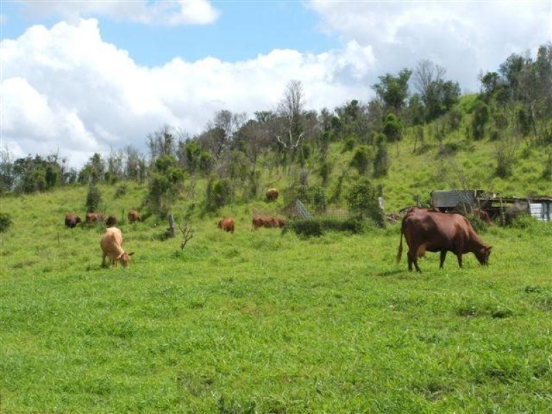 Lot 18 Larkhill Boundary Rd, Coolana QLD 4311