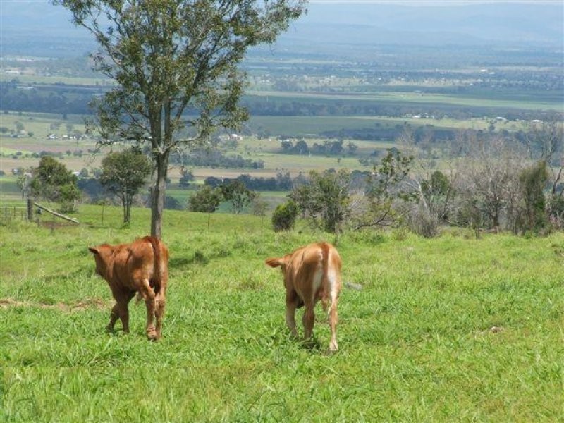 Lot 18 Larkhill Boundary Rd, Coolana QLD 4311