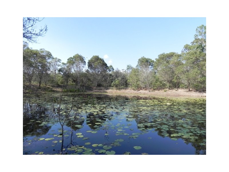 46 Argyle Ct, Mount Hallen QLD 4312