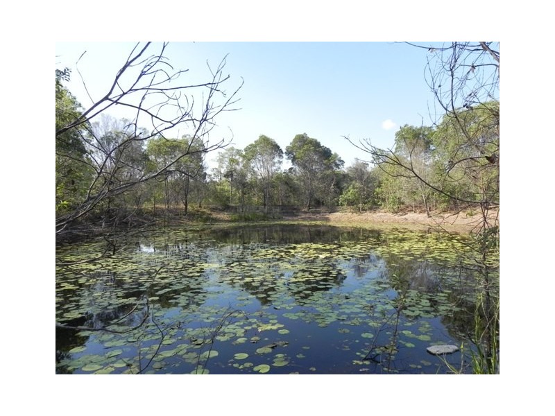 46 Argyle Ct, Mount Hallen QLD 4312