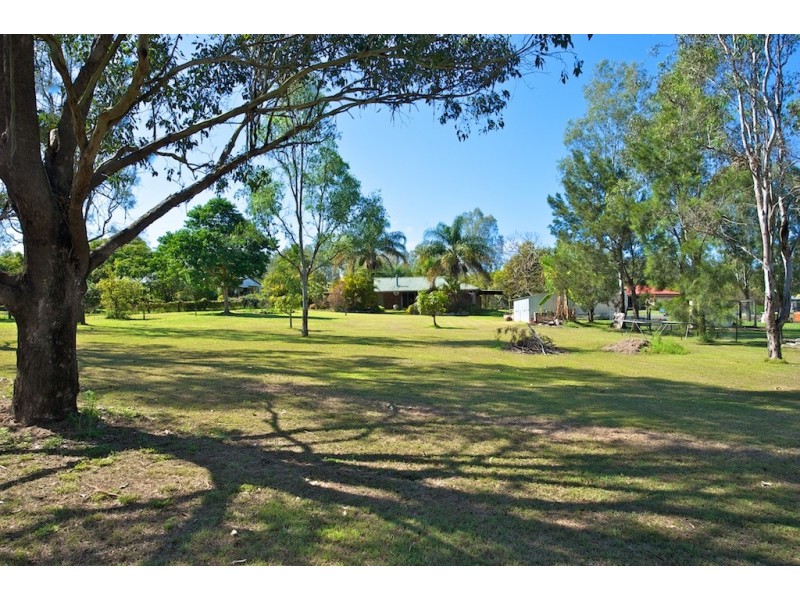 79  Burns St, Fernvale QLD 4306