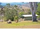 409 Fairneyview- Fernvale Rd, Fairney View QLD 4306