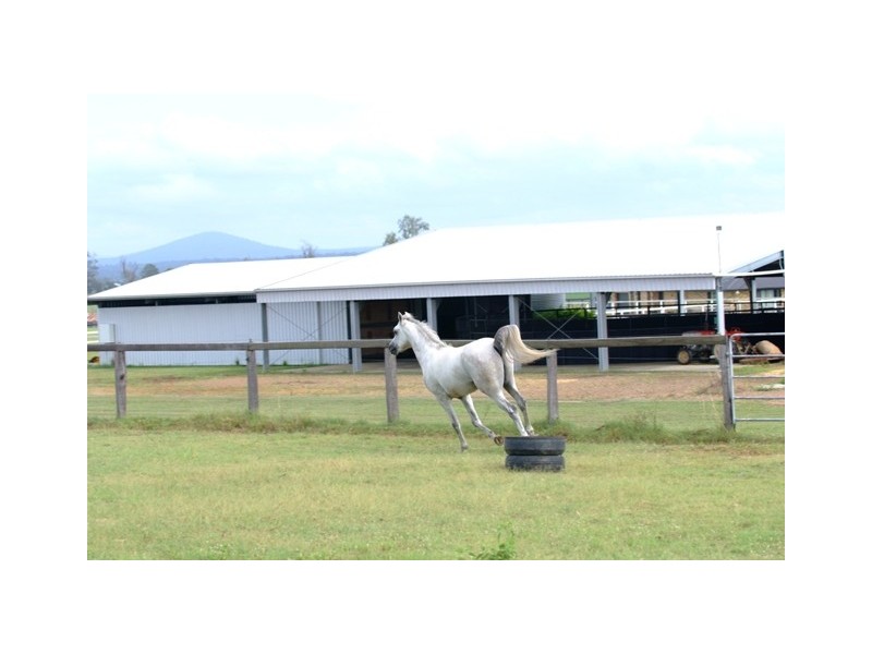 232 Rifle Range Road, Rifle Range QLD 4311