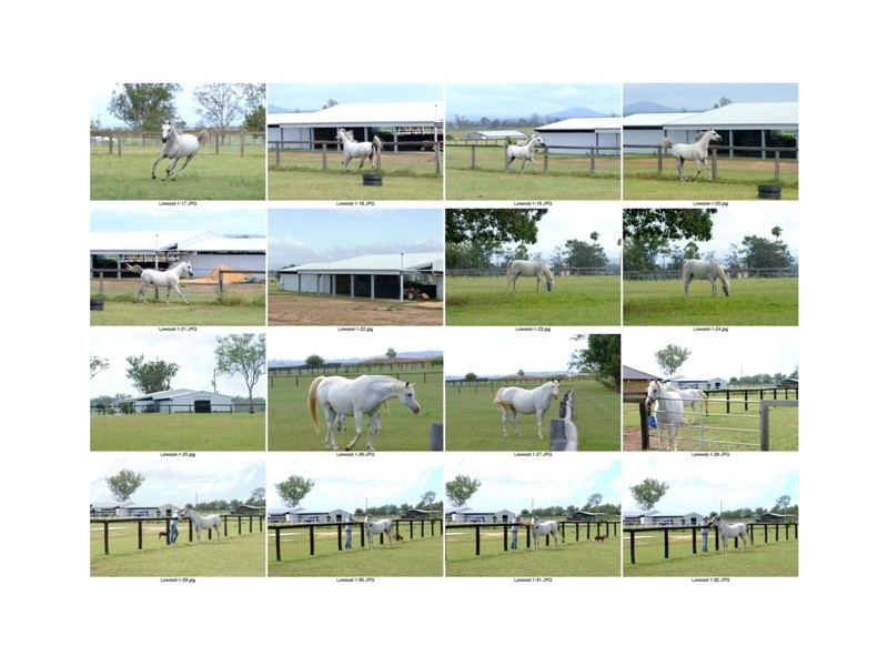 232 Rifle Range Road, Rifle Range QLD 4311