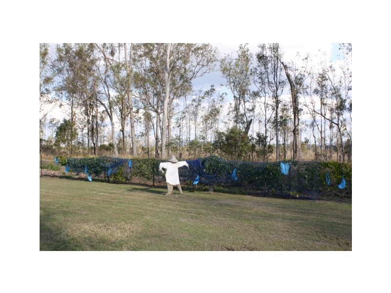 289 West Road, Coominya QLD 4311