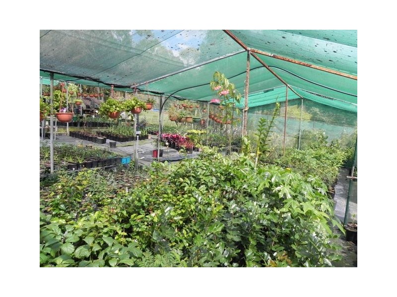 65 Old Fernvale Rd, Fernvale QLD 4306