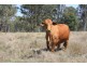 Lot 1 Brisbane Valley Highway, Wanora QLD 4306