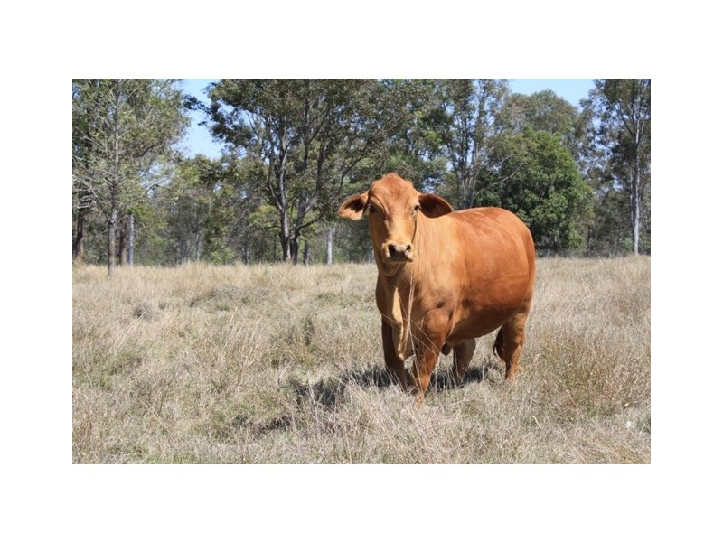 Lot 1 Brisbane Valley Highway, Wanora QLD 4306