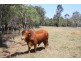 Lot 1 Brisbane Valley Highway, Wanora QLD 4306
