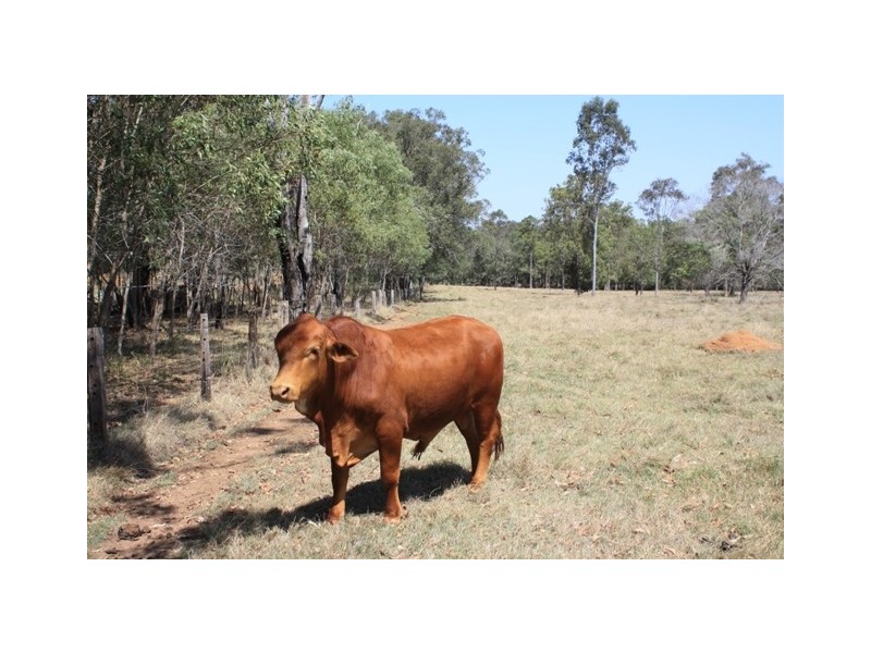 Lot 1 Brisbane Valley Highway, Wanora QLD 4306