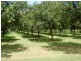 45 Mount Binga Rd, Mount Binga QLD 4306