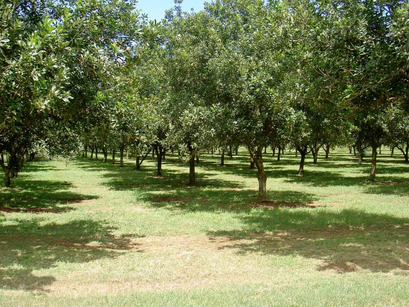 45 Mount Binga Rd, Mount Binga QLD 4306