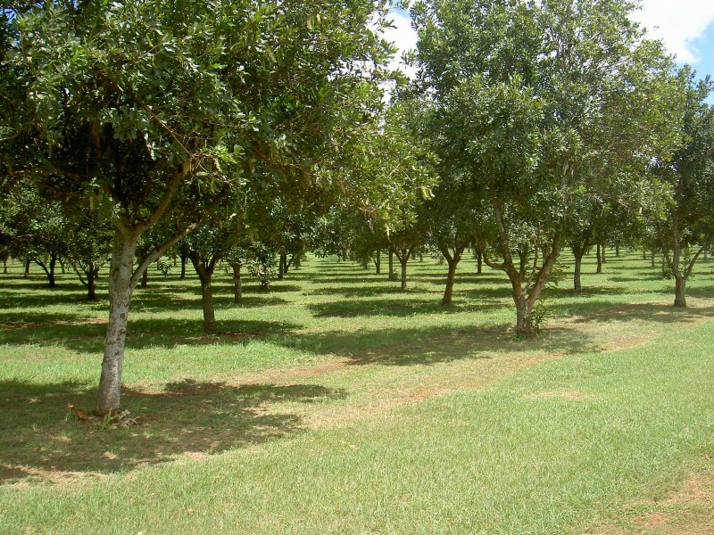 45 Mount Binga Rd, Mount Binga QLD 4306