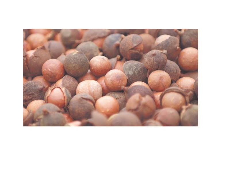 45 Mount Binga Rd, Mount Binga QLD 4306