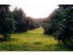 45 Mount Binga Rd, Mount Binga QLD 4306