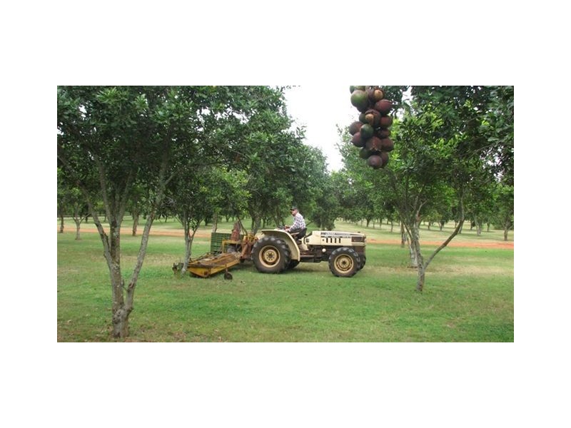 45 Mount Binga Rd, Mount Binga QLD 4306