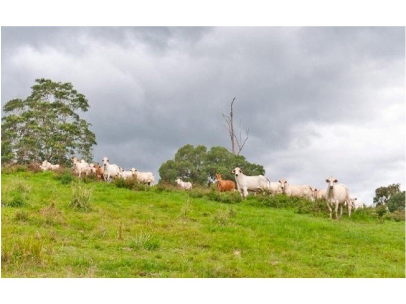 267 Laceys Creek Rd, Dayboro QLD 4521